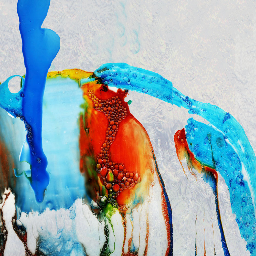Uccello del Paradiso by UNICA — view 4